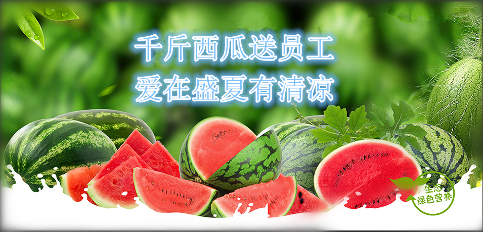 通達(dá)軟件公司： 千斤西瓜送員工，愛在盛夏有清涼